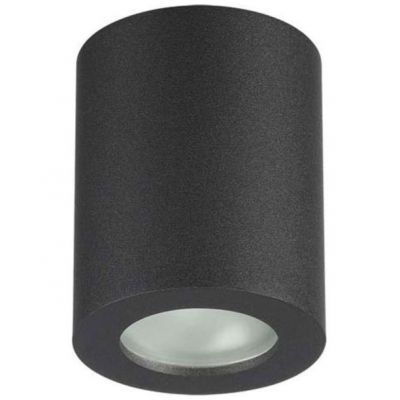 Потолочный светильник Odeon Light 3572/1C