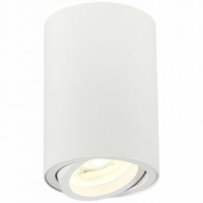 Светильник потолочный ST Luce ST108.507.01