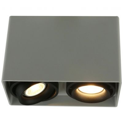 Светильник потолочный Arte Lamp A5655PL-2WH