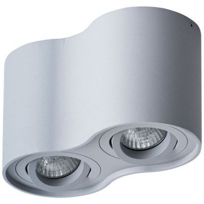 Потолочный светильник Arte Lamp Falcon A5645PL-2GY