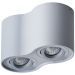 Потолочный светильник Arte Lamp Falcon A5645PL-2GY