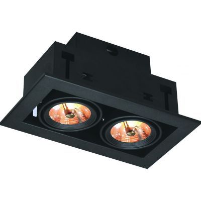Светильник точечный Arte Lamp A5930PL-2BK
