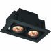 Светильник точечный Arte Lamp A5930PL-2BK