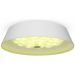 Потолочный светодиодный светильник Freya Cells FR10013CL-L24W