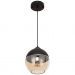 Подвесной светильник Gerhort G51129/1D BK BK+CL