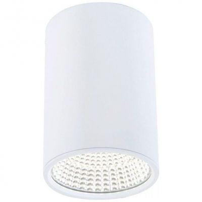 Светильник CITILUX CL558100