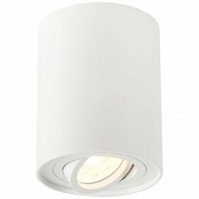 Светильник потолочный ST Luce ST108.517.01