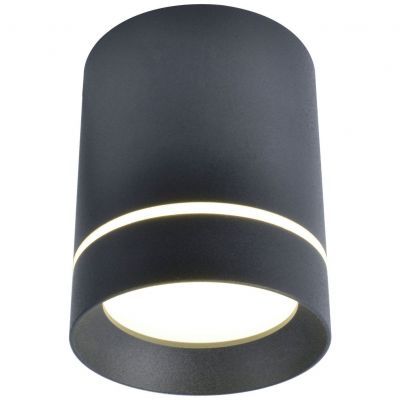 Светильник потолочный Arte Lamp A1909PL-1BK