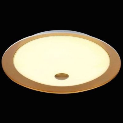 Потолочный светильник Maytoni Euler CL815-PT50-G