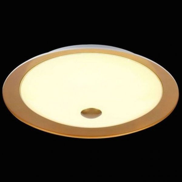 Потолочный светильник Maytoni Euler CL815-PT50-G
