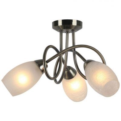 Потолочный светильник Arte Lamp A8616PL-3AB
