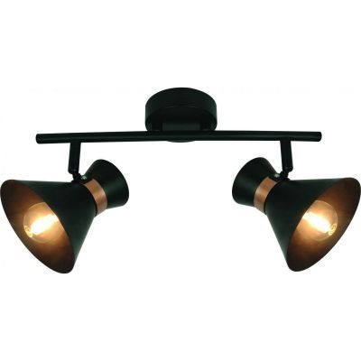 Спот Arte Lamp A1406AP-2BK