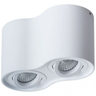 Потолочный светильник Arte Lamp Falcon A5645PL-2WH