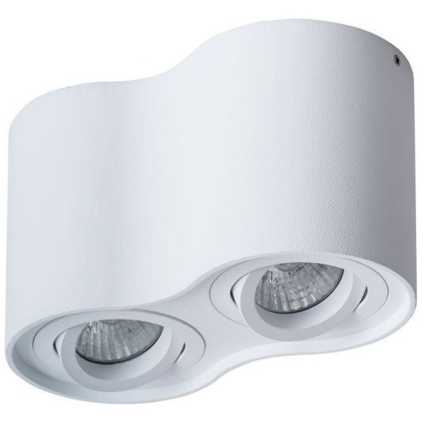 Потолочный светильник Arte Lamp Falcon A5645PL-2WH