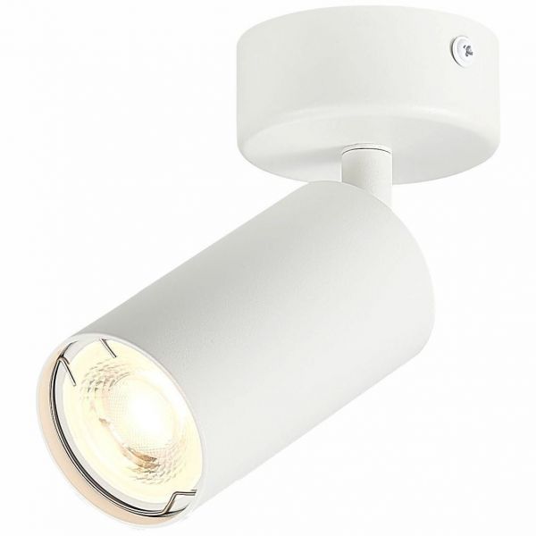 Потолочный светильник ST Luce ST303.502.01