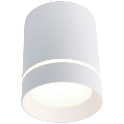 Светильник потолочный Arte Lamp A1909PL-1WH