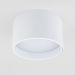 Светильник потолочный светодиодный Elektrostandard Banti 13W 3000K белый (25123/LED)