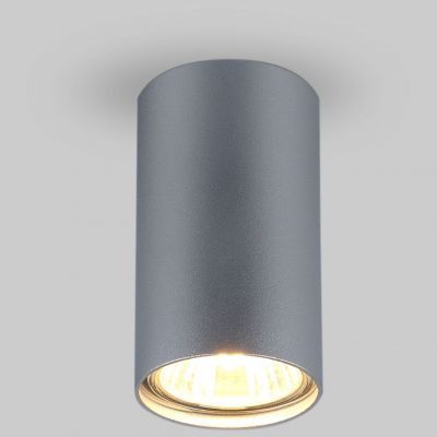 Светильник Elektrostandard 1081 GU10 SL серебро (5257)