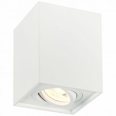 Светильник потолочный ST Luce ST109.507.01