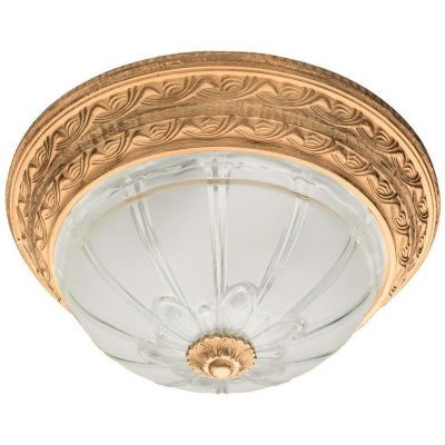 Светильник потолочный Arte Lamp A8014PL-2WA