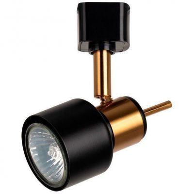 Светильник спот Arte Lamp Almach A1906PL-1BK