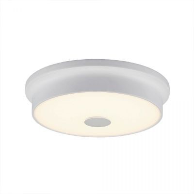 Потолочный светильник Citilux CL706220