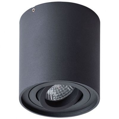 Потолочный светильник Arte Lamp A1460PL-1BK Galopin
