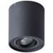 Потолочный светильник Arte Lamp A1460PL-1BK Galopin
