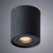 Потолочный светильник Arte Lamp A1460PL-1BK Galopin