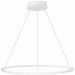 Подвесной светодиодный светильник ST Luce ST604.543.34