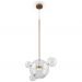 Подвесной светодиодный светильник Freya Amoris FR5128PL-L10BS1