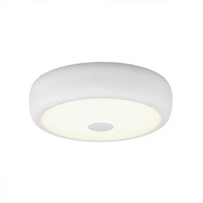 Потолочный светильник Citilux CL706310