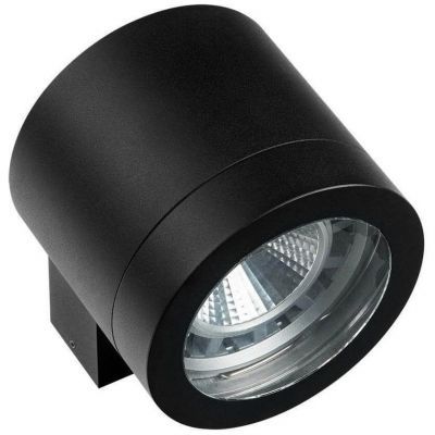Уличный настенный светильник Lightstar Paro 350617
