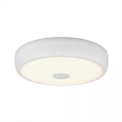 Потолочный светильник Citilux CL706320