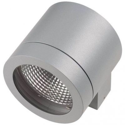 Уличный настенный светильник Lightstar Paro 350619