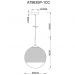 Светильник подвесной Arte Lamp Jupiter Chrome A7963SP-1CC