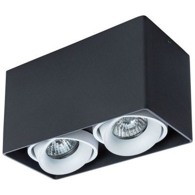 Потолочный светильник Arte Lamp Pictor A5654PL-2BK