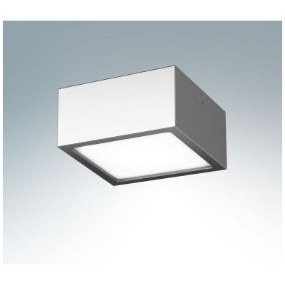 Настенно-потолочный светильник LIGHTSTAR 213924