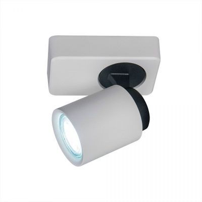 Спот Citilux CL533510 Норман