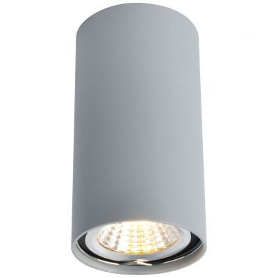 Светильник потолочный Arte Lamp A1516PL-1GY