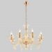 Подвесная люстра Crystal Lux Caetano SP-PL8 Amber Caetano