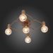 Потолочная люстра ST Luce SL413.202.05