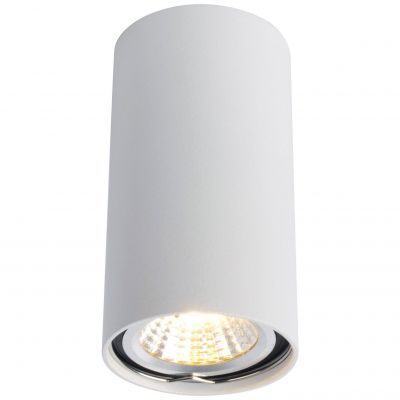 Светильник потолочный Arte Lamp A1516PL-1WH