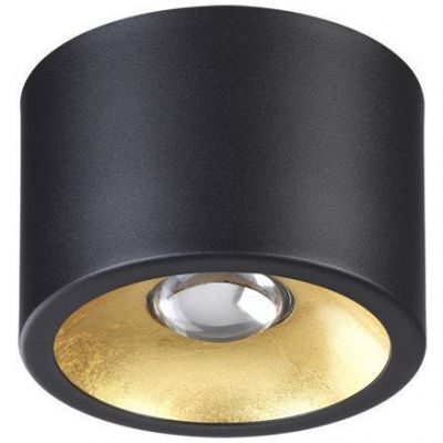 Потолочный светильник Odeon Light Glasgow 3875/1CL