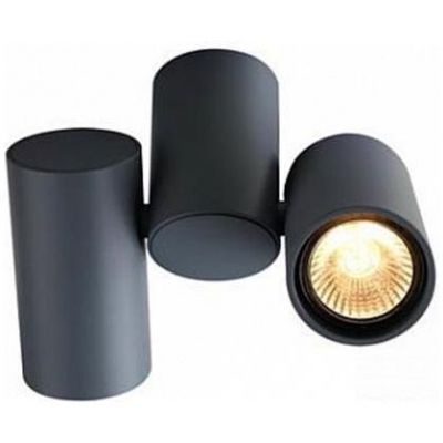 Спот Arte Lamp A1511PL-2GY Gavroche