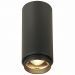 Светильник потолочный Zoom ST Luce ST600.432.10