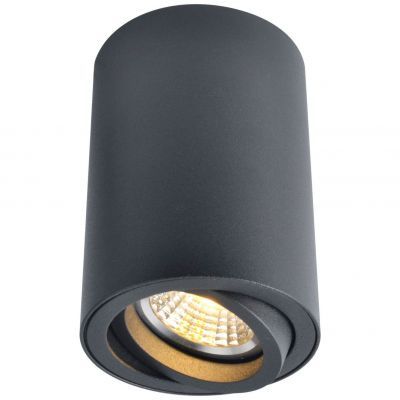 Светильник потолочный Arte Lamp A1560PL-1BK
