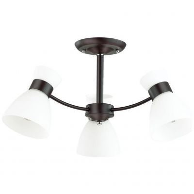 Потолочная люстра Lumion Wilma 4534/3C