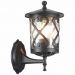 Светильник уличный настенный ST Luce SL085.401.01