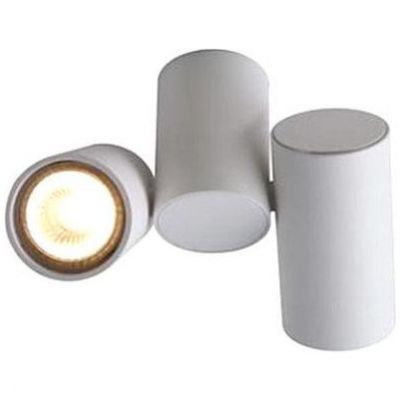 Спот Arte Lamp A1511PL-2WH Gavroche